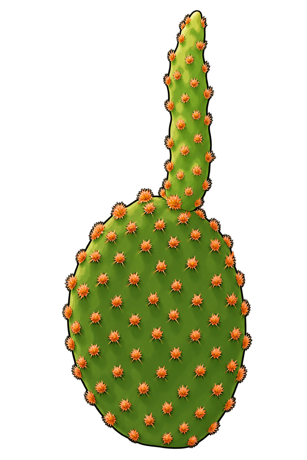 Black-outlined botanical illustration of Mini Cinnamon Cactus: Small flattened oval green basal pad; narrow irregular upright new segment; dense cinnamon-orange bristle tufts; short nursery-plant proportions.