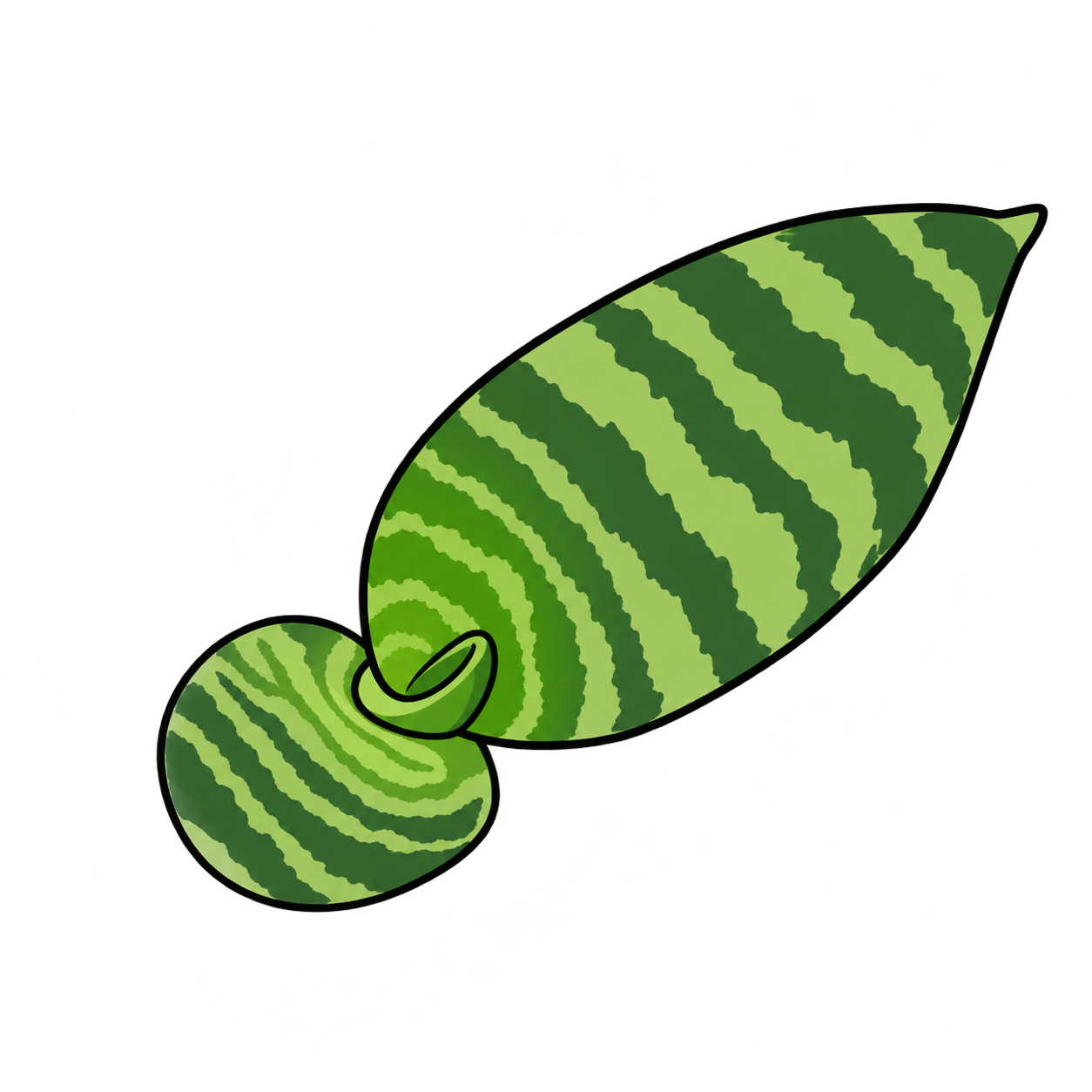 Black-outlined botanical illustration of Snake Plant: Core Care: Green sword leaves; Transverse gray-green bands; Juvenile basal shoot