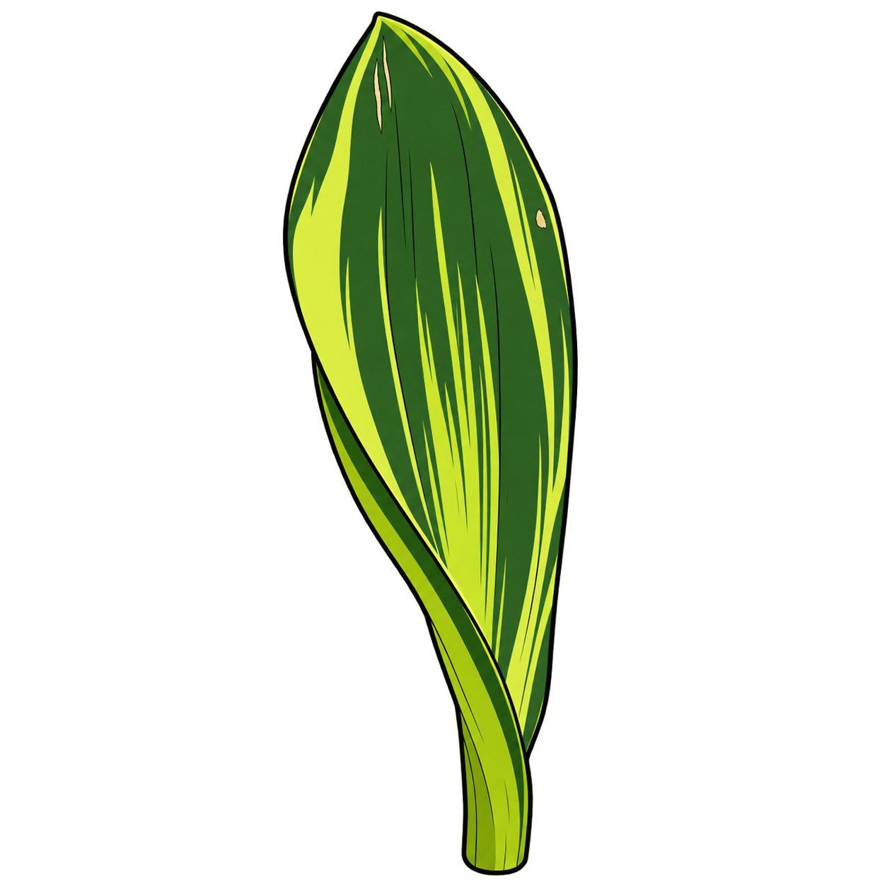 Black-outlined botanical illustration of Variegated Whale Fin Snake Plant: Broad paddle form; Long lime-yellow streaks; Dark-green variegated fields; Small scratches and asymmetric tip