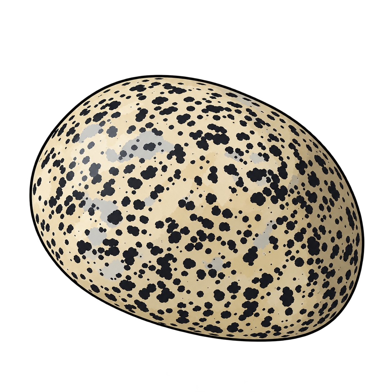 A polished oval has a cream-colored surface scattered with irregular black spots. A soft gray highlight follows its curved edge, emphasizing the smooth finish and the difference between the pale background and darker markings.