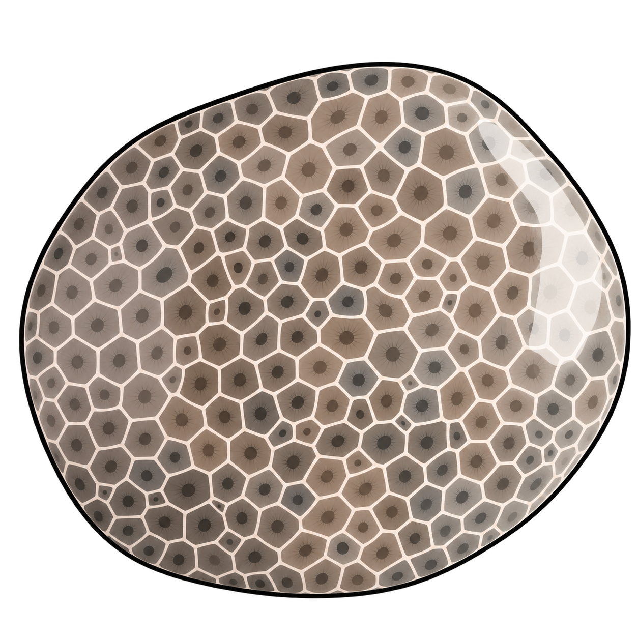 An oval polished stone in warm gray and tan, patterned with pale honeycomb outlines, dark centers and fine radiating lines.