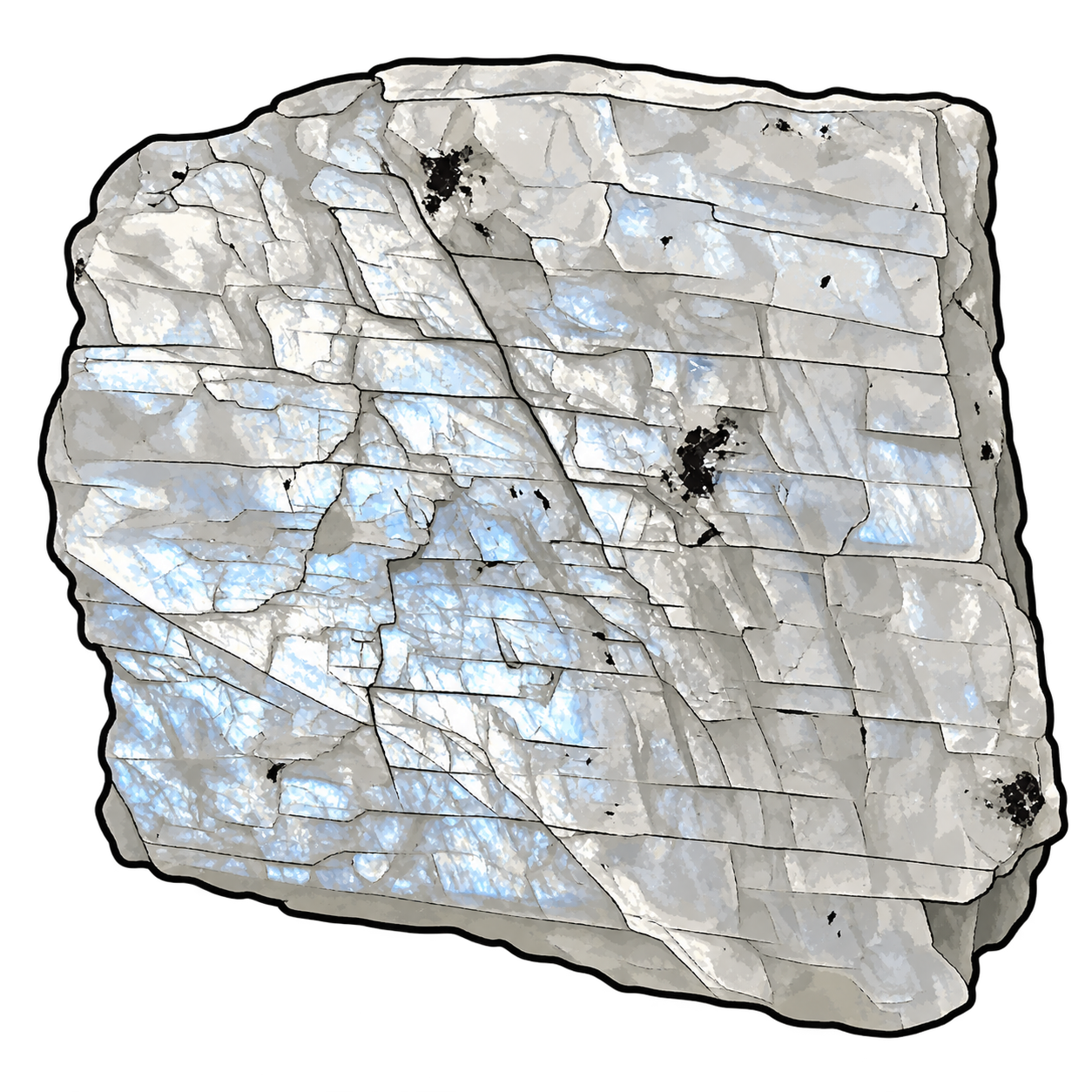 Pale gray-white feldspar illustrated with stepped surfaces, soft blue highlights, crossing fractures and scattered dark accents.