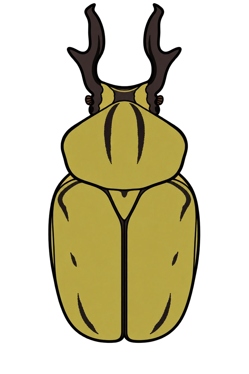 Dicronocephalus wallichi, dorsal view