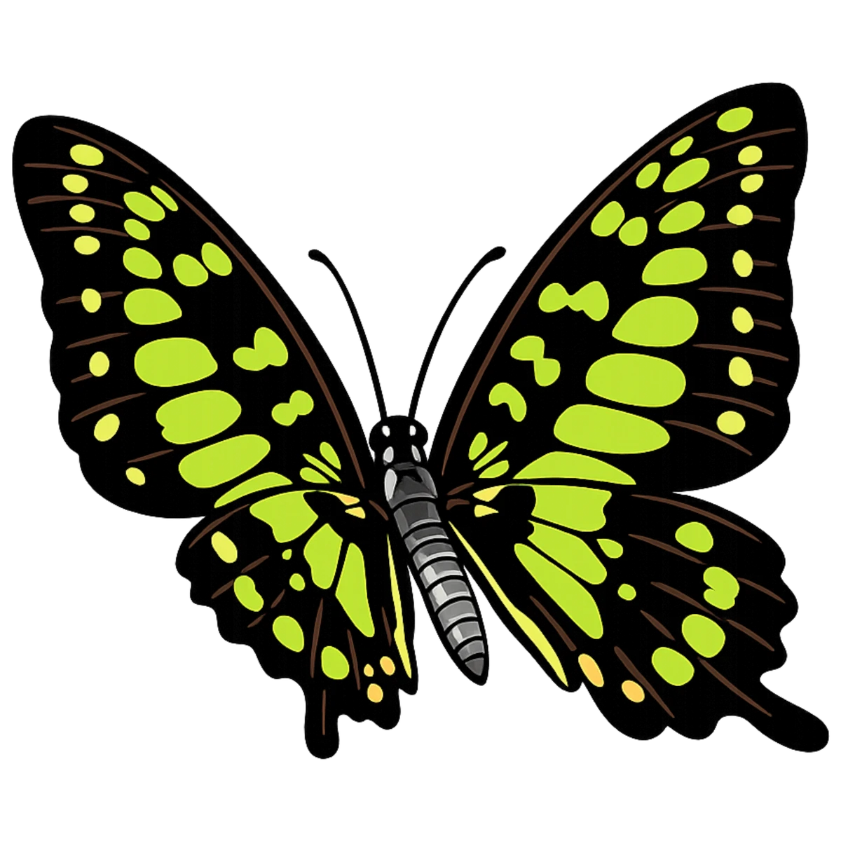 Graphium agamemnon, leftward wingbeat study