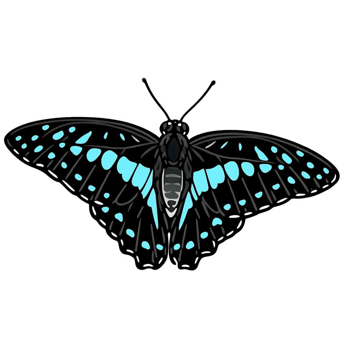Graphium doson, upward flight study
