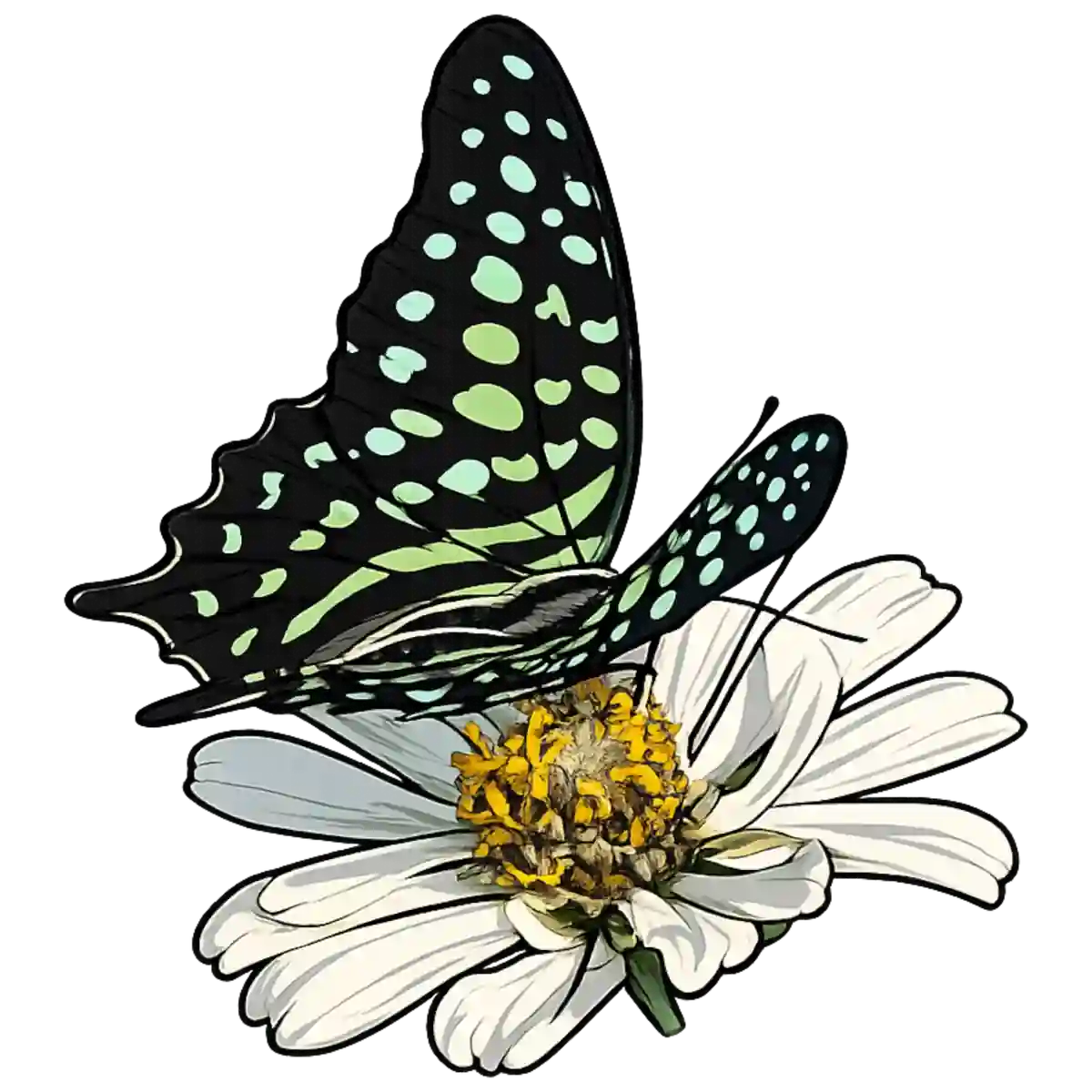 Graphium agamemnon, flower perch study
